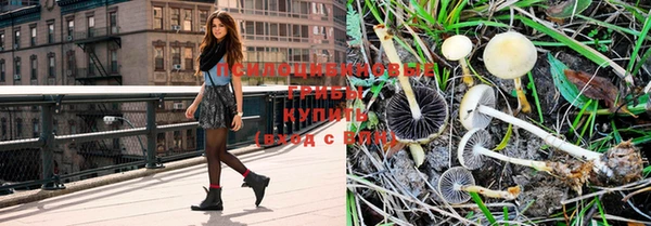 круглые Лагань