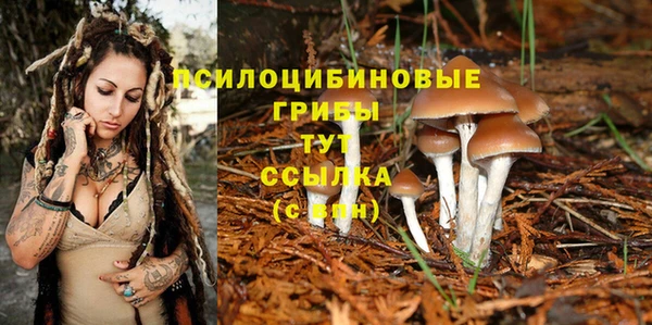круглые Лагань