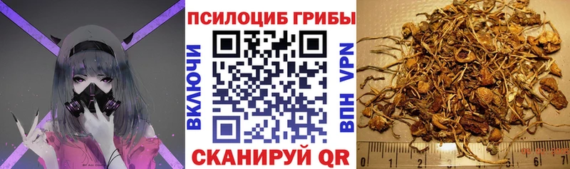 Галлюциногенные грибы мицелий  darknet наркотические препараты  Яранск 
